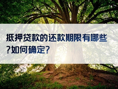 抵押贷款的还款期限有哪些？如何确定？