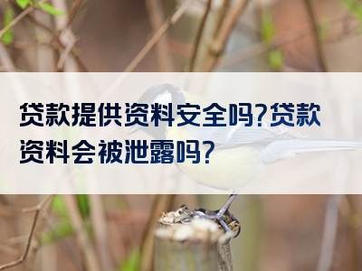 贷款提供资料安全吗？贷款资料会被泄露吗？