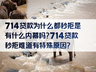 714贷款为什么都秒拒是有什么内幕吗？714贷款秒拒难道有特殊原因？