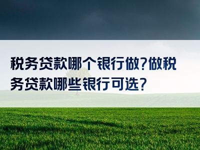 税务贷款哪个银行做？做税务贷款哪些银行可选？