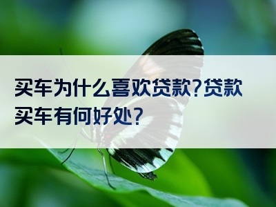 买车为什么喜欢贷款？贷款买车有何好处？