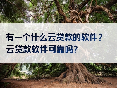 有一个什么云贷款的软件？云贷款软件可靠吗？