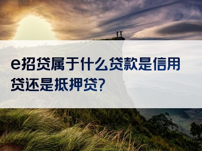 e招贷属于什么贷款是信用贷还是抵押贷？