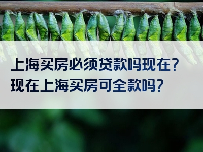 上海买房必须贷款吗现在？现在上海买房可全款吗？