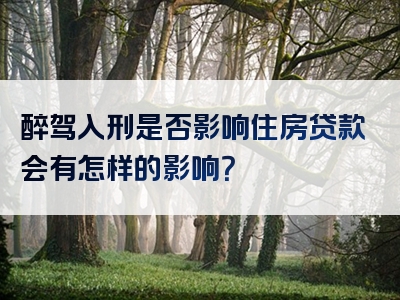 醉驾入刑是否影响住房贷款会有怎样的影响？