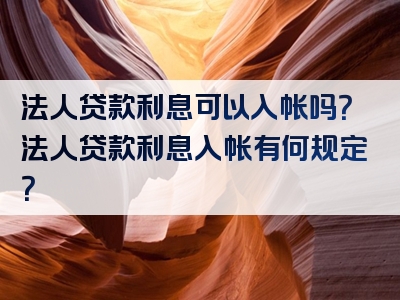 法人贷款利息可以入帐吗？法人贷款利息入帐有何规定？