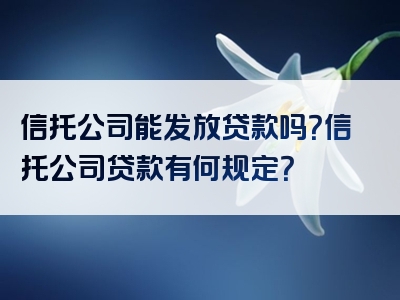 信托公司能发放贷款吗？信托公司贷款有何规定？