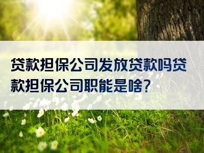 贷款担保公司发放贷款吗贷款担保公司职能是啥？