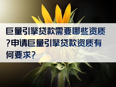 巨量引擎贷款需要哪些资质？申请巨量引擎贷款资质有何要求？