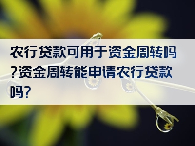 农行贷款可用于资金周转吗？资金周转能申请农行贷款吗？