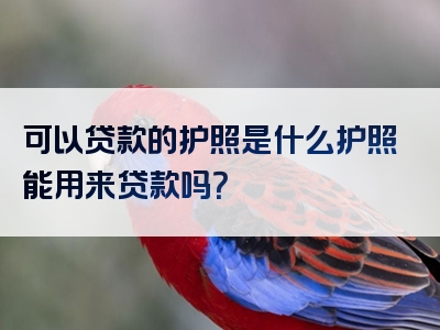 可以贷款的护照是什么护照能用来贷款吗？