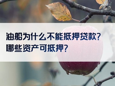 油船为什么不能抵押贷款？哪些资产可抵押？