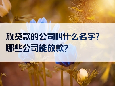 放贷款的公司叫什么名字？哪些公司能放款？