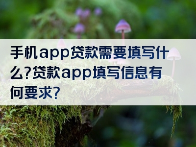 手机app贷款需要填写什么？贷款app填写信息有何要求？