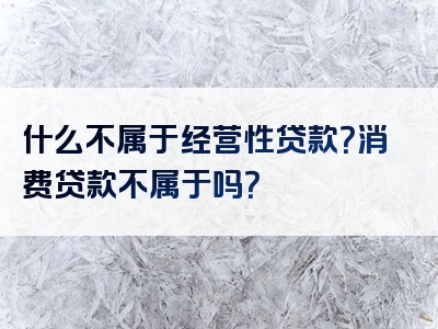 什么不属于经营性贷款？消费贷款不属于吗？