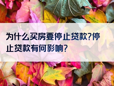 为什么买房要停止贷款？停止贷款有何影响？