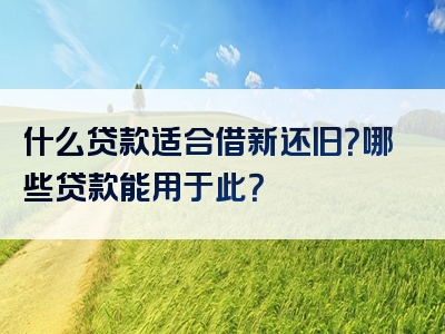 什么贷款适合借新还旧？哪些贷款能用于此？