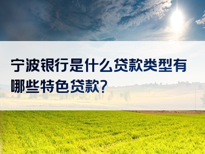 宁波银行是什么贷款类型有哪些特色贷款？