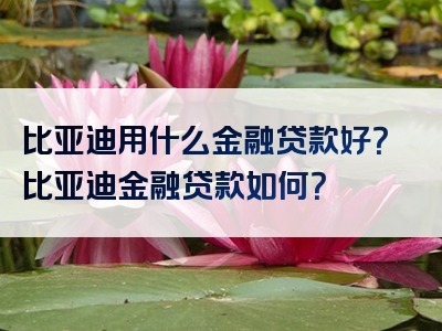 比亚迪用什么金融贷款好？比亚迪金融贷款如何？