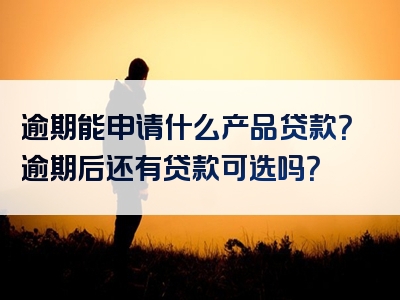 逾期能申请什么产品贷款？逾期后还有贷款可选吗？