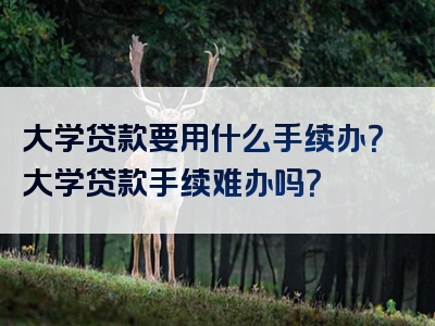 大学贷款要用什么手续办？大学贷款手续难办吗？