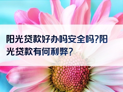 阳光贷款好办吗安全吗？阳光贷款有何利弊？