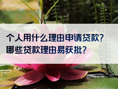 个人用什么理由申请贷款？哪些贷款理由易获批？