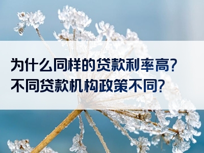 为什么同样的贷款利率高？不同贷款机构政策不同？