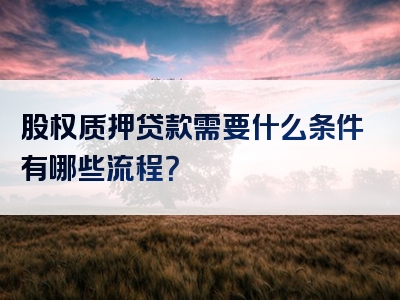 股权质押贷款需要什么条件有哪些流程？