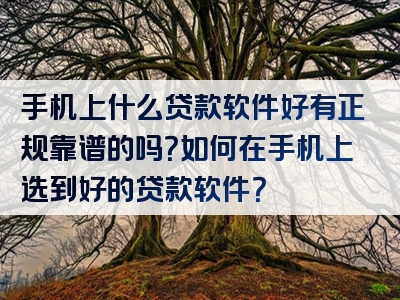 手机上什么贷款软件好有正规靠谱的吗？如何在手机上选到好的贷款软件？