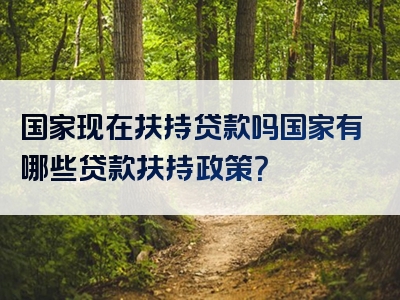 国家现在扶持贷款吗国家有哪些贷款扶持政策？