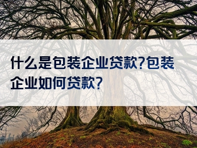 什么是包装企业贷款？包装企业如何贷款？