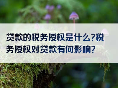 贷款的税务授权是什么？税务授权对贷款有何影响？