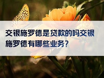 交银施罗德是贷款的吗交银施罗德有哪些业务？