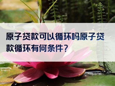 原子贷款可以循环吗原子贷款循环有何条件？