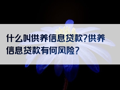 什么叫供养信息贷款？供养信息贷款有何风险？