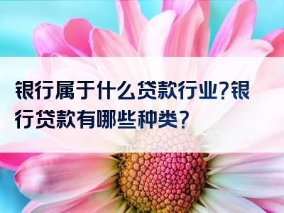 银行属于什么贷款行业？银行贷款有哪些种类？