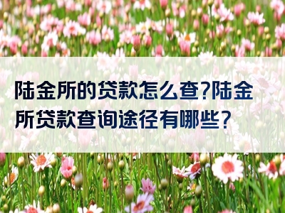 陆金所的贷款怎么查？陆金所贷款查询途径有哪些？