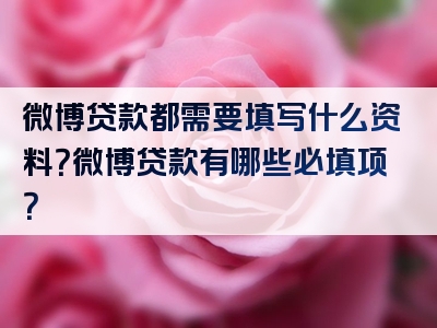 微博贷款都需要填写什么资料？微博贷款有哪些必填项？