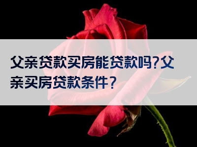 父亲贷款买房能贷款吗？父亲买房贷款条件？