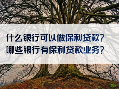 什么银行可以做保利贷款？哪些银行有保利贷款业务？