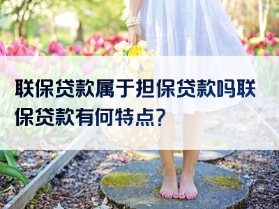 联保贷款属于担保贷款吗联保贷款有何特点？