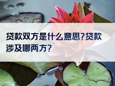 贷款双方是什么意思？贷款涉及哪两方？