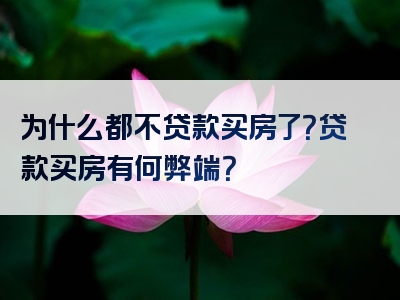 为什么都不贷款买房了？贷款买房有何弊端？