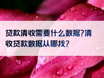 贷款清收需要什么数据？清收贷款数据从哪找？