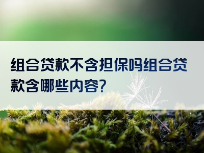 组合贷款不含担保吗组合贷款含哪些内容？