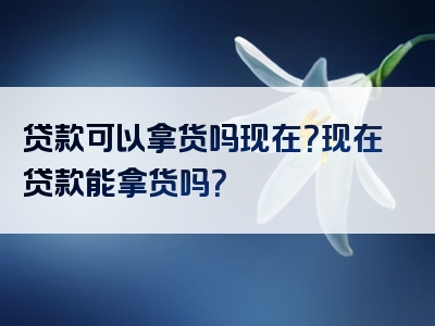 贷款可以拿货吗现在？现在贷款能拿货吗？