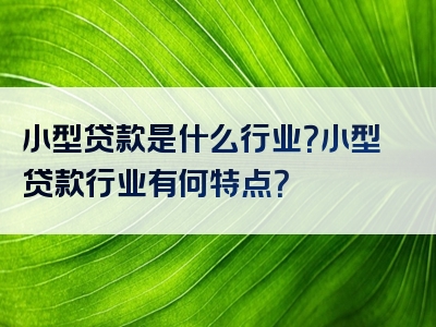 小型贷款是什么行业？小型贷款行业有何特点？