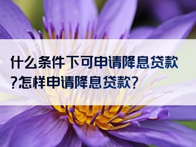 什么条件下可申请降息贷款？怎样申请降息贷款？