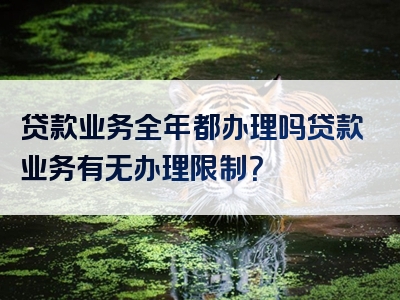 贷款业务全年都办理吗贷款业务有无办理限制？